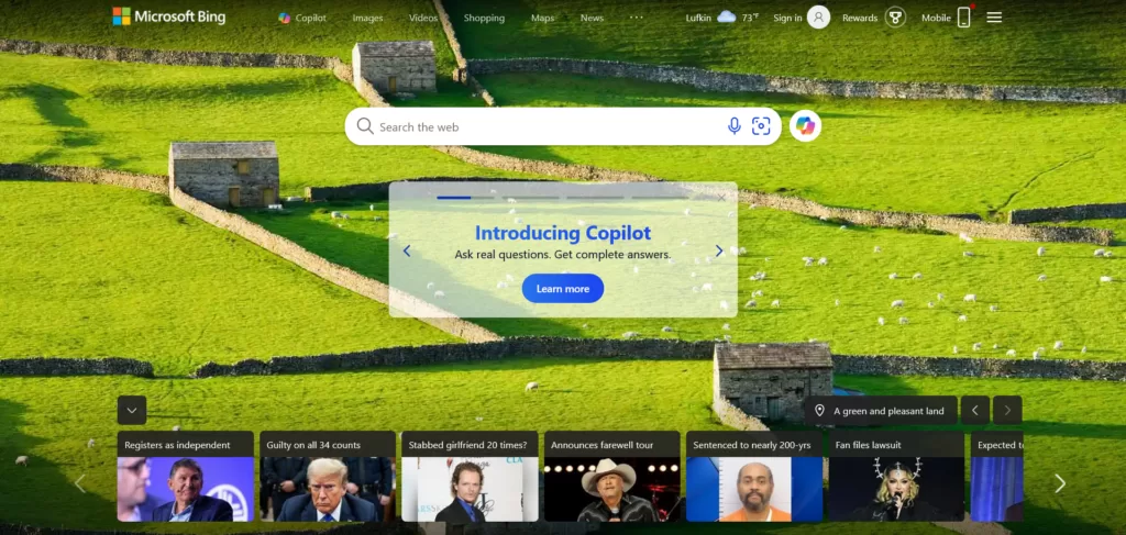 Bing is visual but no one uses it.