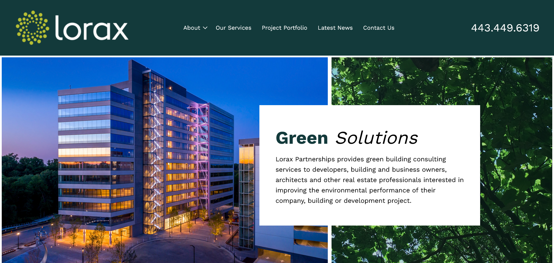 lorax llc by perfectly optimized | Perfectly Optimized